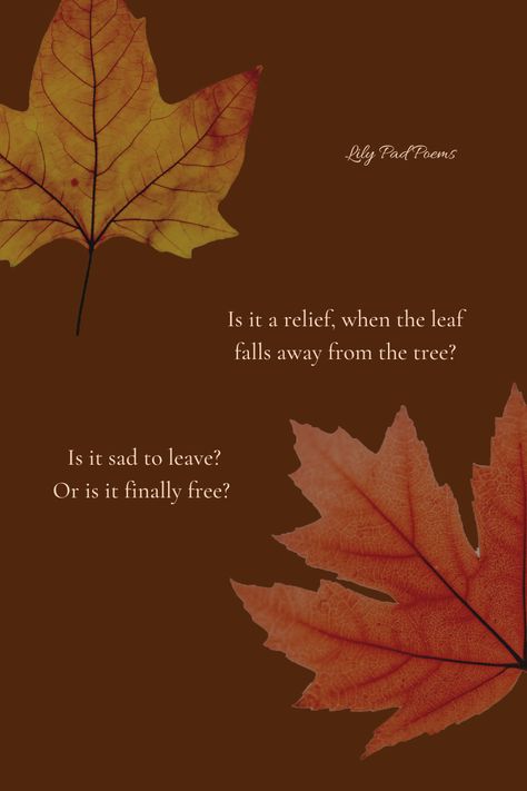 A poem about autumn, but also a poem about freedom: Is it a relief when the leaf falls away from the tree? Is it sad to leave or is it finally free? Autumn To Winter Quotes, Quotes About Leaves Falling, Poetry About Seasons, Autumn Leaves Poem, Autumn Poems Beautiful, Autumn Poems Poetry, Fall Poems Beautiful, Short Autumn Poems, Poems About Freedom