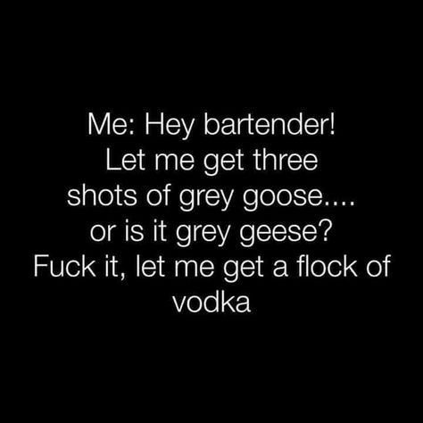 Bartender Quotes, Bar Quotes, Funny Photo Memes, Alcohol Quotes Funny, Hey Bartender, Alcohol Quotes, Alcohol Humor, Grey Goose, Drinking Quotes