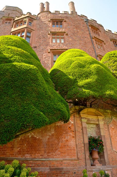 POWIS CASTLE AND GARDEN Powis Castle, Cloud Pruning, Famous Gardens, Welsh Dragon, Medieval Fortress, Beautiful Places To Live, Living In England, Sunken Garden, Castle Garden