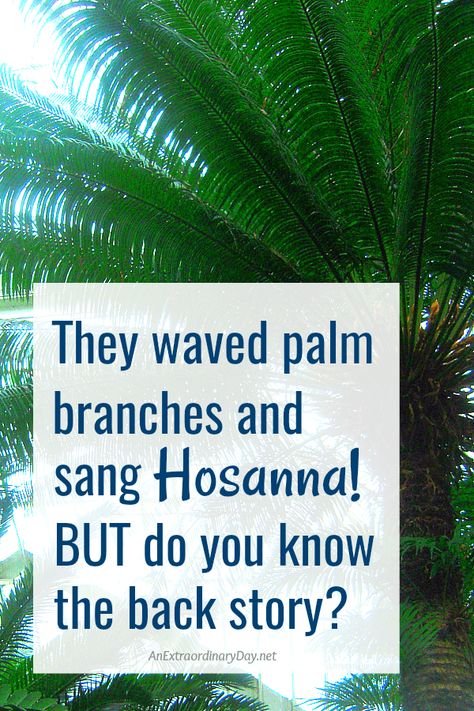 What is the meaning behind the Hosannas and Palm Sunday. Scripture verses that give the background to understanding this day in the church and worship from anExtraordinaryDay.net Sunday School Palm Sunday, Palm Sunday Story, Palm Sunday Lesson, Psalm Sunday, Palm Sunday Activities, Palm Sunday Decorations, Palm Sunday Crafts, Sunday Messages, Sunday Activities