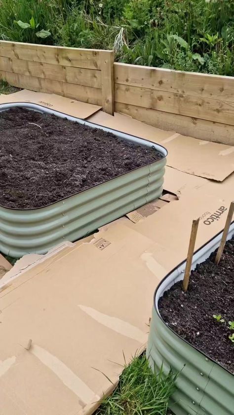 WOOD CHIP PATHS 🌳 If there's one thing that can save you time in the garden and make it look great, it's pathways. This is the quick, easy, and cheap way I use to make them with wood chips. A layer of cardboard or landscaping fabric on the ground, then a couple of inches of wood chips on top. Finished 🙌 After a few years, the wood chip can break down into decent compost that you can add to your beds. You shovel it up if you used cardboard, but you can lift it up more easily with heavy-duty lan Side Garden, Wood Chips, Garden Pathway, Garden Paths, Shovel, On The Ground, Save You, Save Yourself, In The Garden