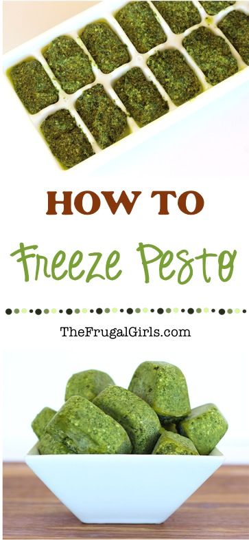 How to Freeze Pesto with Fresh Basil! - The Frugal Girls How To Preserve Basil Pesto, Freezing Pesto Ice Cubes, What To Do With Extra Fresh Basil, Cooking With Pesto, Things To Do With Pesto, Leftover Pesto Ideas, Things To Make With Pesto, Freezer Pesto Recipe, Pesto Crockpot