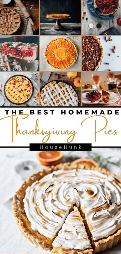 Are you looking for some easy and delicious pie recipes for fall? Look no further than these 24 amazing Thanksgiving pies that feature seasonal fruits, spices, and flavors. You'll find everything from apple cheddar pie to bourbon bacon pecan pie in this post. These Thanksgiving pie recipes are perfect for Thanksgiving desserts, or any cozy occasion. Pin this post now and save it for later! Perfect Thanksgiving Dessert, Gourmet Apple Pie, Make Ahead Pies To Freeze, Unique Pie Recipes Thanksgiving, Tarts For Thanksgiving, Desert Pies Recipes, Thanksgiving Pie Flavors, Thanks Giving Pie Recipes, Pecan Pie Design