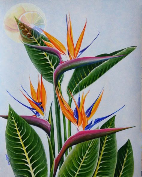 Bird Of Paradise Painting, Bird Of Paradise Tattoo, Paradise Painting, Painting Products, Bird Of Paradise Plant, Paradise Plant, Birds Of Paradise Flower, Tropical Painting, Flower Acrylic