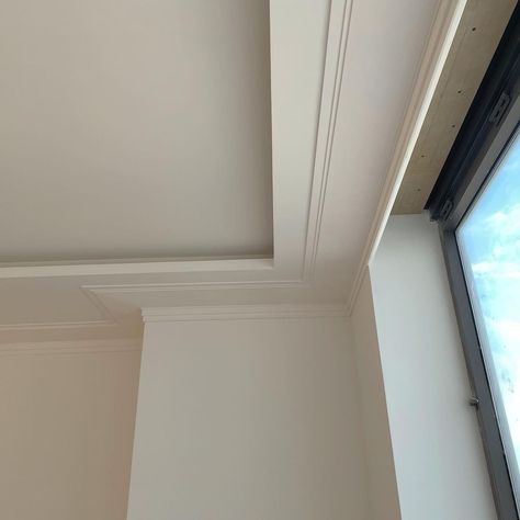 Dropped Ceiling Lighting, Ceiling Cove Light, Cove Ceiling Ideas, Tray Ceiling Crown Molding, Cove Lighting Design, Cove Lighting Ceiling, Ceiling Cove, Drop Down Ceiling, Curved Ceiling