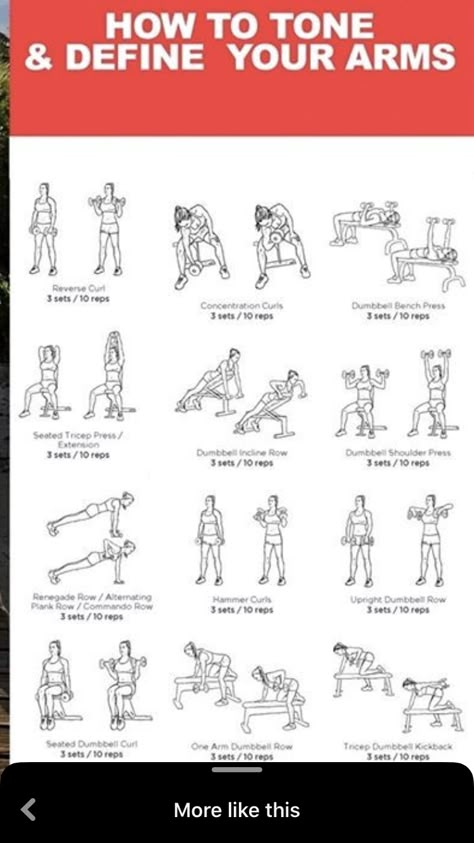 Dumbell Arm Workout Women, Bench Workouts For Women, Dumbell Workout For Arms, Beginners Gym Workout Plan, Arm Day Workout, Bench Press Workout, Workouts Women, Teen Workout Plan, Dumbbell Arm Workout