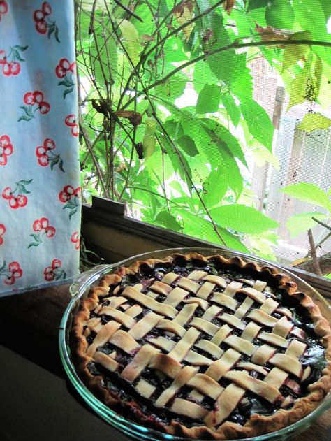 Perfect Tripleberry Pie cooling on the window sill! Picking Berries, Humble Pie, Good Pie, Farm Living, Berry Pie, Flaky Crust, Blueberry Pie, Pies & Tarts, Farms Living