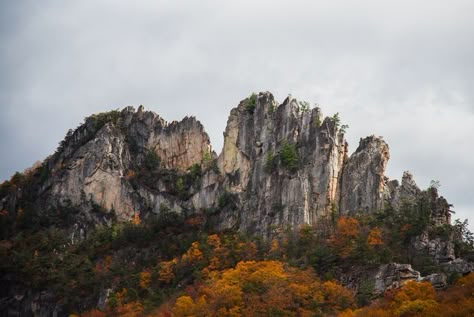 Discover Majestic Seneca Rocks, West Virginia Seneca Rocks, West Virginia Mountains, West Virginia Travel, Virginia Travel, Fall Camping, Dc Metro, Hiking Backpacking, North America Travel, Weekend Trips