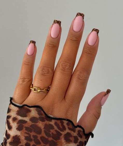 Leopard Print French Manicure Lepord Nails Acrylic French Tip, Nail Designs Leopard Print, Nail Designs Leopard, Leopard Print Nail Designs, Leopard Print Nail Art, Nail Art Fall, Leopard Print Nail, Concert Nails, Print Nail Art