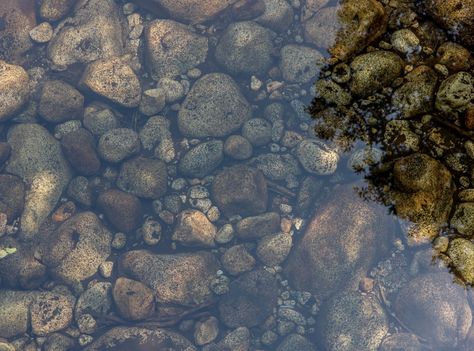 Fishing Basics, River Pictures, Black Rocks, Water Images, Water Pictures, Clear Lake, Nature Water, Stone Pictures, Under Water