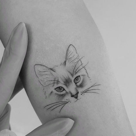 tattoo tattooartist tatuagem cat gato Cat Face Tattoos, Cat Portrait Tattoos, Cat Tattoo Simple, Cat Outline, Black Cat Tattoos, Silhouette Tattoos, Amazing Tattoos, Tattoos For Lovers, Cat Tattoos