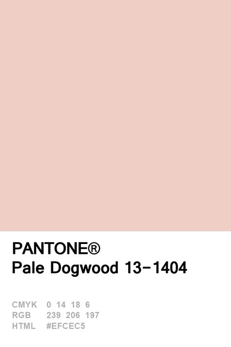 Pantone 2017 Pale Dogwood Pale Pink Pantone, Pale Dogwood Pantone, Pink Pantone, Pantone Cmyk, Pale Dogwood, Pantone 2017, Pantone Swatches, Pantone Palette, Pantone Colour Palettes