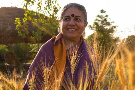 8th Grade History, Vandana Shiva, Life Values, Environmental Activist, Mother Earth News, Seed Bank, Organic Seeds, Early Bird, Interesting Articles