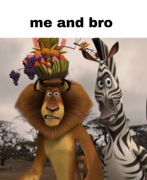 #real #meandbro #friends #bestfriends #funny #meme #tiktok #madacascar Madagascar Movie Funny, Madagascar Meme, Me And Bro, Madagascar Movie, Bff Stuff, Clone High, Memes In Real Life, Funny Reaction, Random Memes