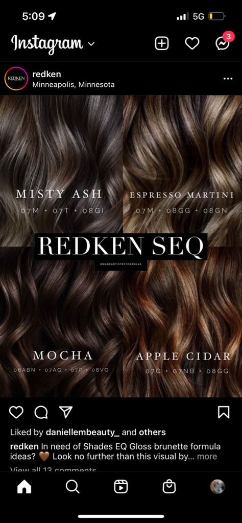 Redken Shades Chocolate Brown, Chestnut Brown Hair Formula Redken, Redken Fall Hair Color, Brunette Hair Formulas Chocolate Brown, Dark Brown Hair Balayage Shades Eq, Redkin Brunette Formula, Redken Shades Eq Chocolate Brown, Chocolate Redken Formula, Dark Brown Hair Redken Formula