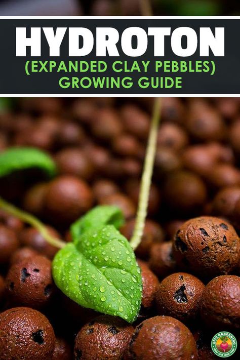 Diy Hydroponics, Aquaponics Diy, Hydroponic Farming, Hydroponics Diy, Hydroponic Growing, Indoor Vegetable Gardening, Aquaponics System, Hydroponics System, Organic Gardening Tips