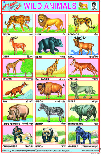 Wild Animals Animal Chart For Kids, Education Chart, Animals Name With Picture, Animal Chart, Wild Animals List, Fruits Name, Wild Animals Drawing, Fruits Name In English, Animal Pictures For Kids