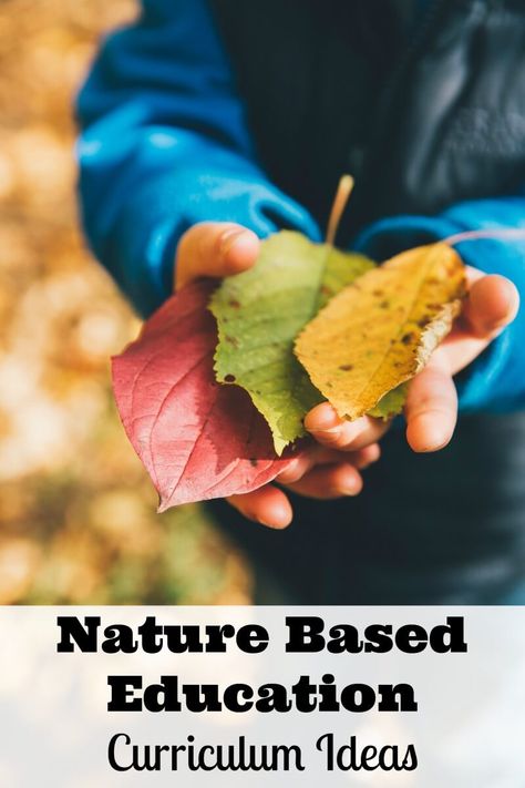 Whether you are homeschooling or just looking for fun, educational activities fo your kids, consider these nature based education curriculum ideas. Nature Based Classroom, Nature Based Preschool, Nature Based Play, Nature Based Learning, Outdoor Learning Activities, Kindergarten Homeschool Curriculum, Green Jobs, Nature Education, Playing Outside