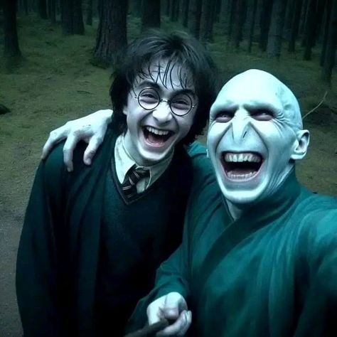 Harry Potter Voldemort, Harry Potte, Harry Potter Icons, Harry Potter Ron, Images Harry Potter, Harry Potter Actors, Harry Potter Pictures, Harry Potter Film, Harry Potter Jokes