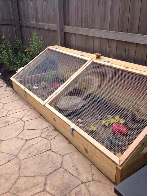 Tartaruga Habitat, Kandang Hamster, Outdoor Tortoise Enclosure, Tortoise Cage, Turtle Enclosure, Red Footed Tortoise, Turtle Homes, Tortoise House, Tortoise Enclosure