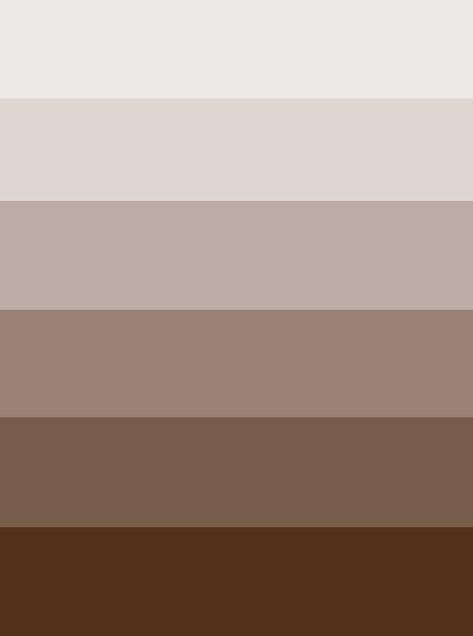 Palette Wall, Neutral Bedroom Decor, Classic Photography, Ombre Brown, Printed Photo, Photography Backgrounds, Photo Backdrops, Casa Exterior, Vinyl Backdrops