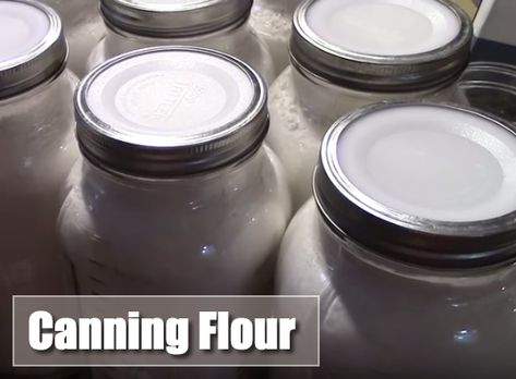 Canning Flour Preserving Flour Long Term, Storing Flour Long Term, Canning Flour, Canning Room, Dry Canning, Canning 101, Home Canning Recipes, Canning Food, Canning Food Preservation