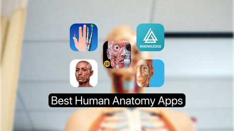 best human anatomy apps Anatomy Apps, Anatomy App, Human Anatomy Reference, Gross Anatomy, Study Apps, Anatomy Models, Apps For Iphone, Science Geek, Ipad Ios