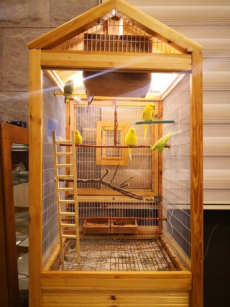 Lovebirds Cage Ideas, Outdoor Cabinet Diy, Bird Cage Ideas, Dope Rooms, Big Bird Cage, Cockatiel Care, Indoor Rabbit Cage, Diy Bird Cage, Bird Cage Design