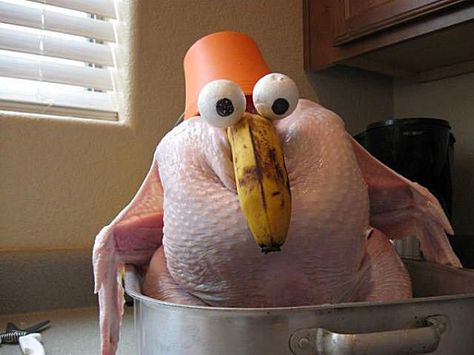 Funny Turkey Pictures, Turkey Humor, Thanksgiving Funnies, Fresh Buns, Funny Thanksgiving Pictures, Funny Thanksgiving Memes, Turkey Pictures, Mashed Potatoes And Gravy, Thanksgiving Humor