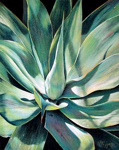 Succulent Paintings, Cactus Pictures, Succulent Painting, Succulent Art, Blue Plants, Hawaiian Art, Desert Art, Watercolor Sketchbook, Plant Aesthetic