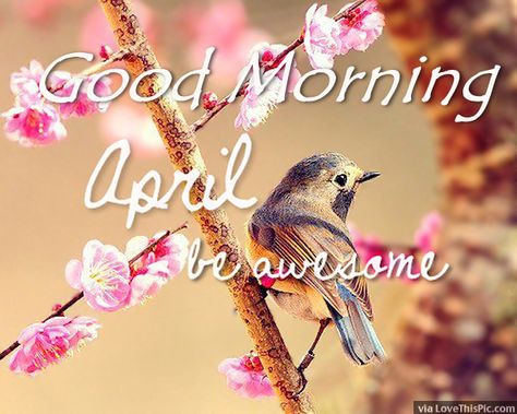 Good Morning April Be Awesome Good Morning April 1st, Good Morning Happy New Month, Happy New Month Pictures, Hello April Quotes, April Blessings, April Hello, April Images, April First, Welcome April