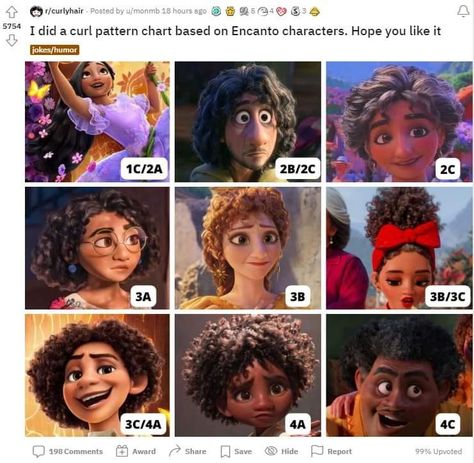 I love this use of characters to illustrate curl patterns Disney Characters With Curly Hair, Disney Princess Inspired Hairstyles, Curly Haired Characters Movie, Curly Hair Disney Characters, Curly Hair Fanart, Pixar Mom Body Type, Curly Hair Characters Halloween, Curly Hair Cartoon Characters, Curly Character