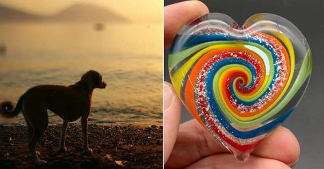 Company turns beloved pets’ ashes into beautiful glass arts to serve as a memorial keepsake Dog Ashes, Pet Cemetery, Pet Ashes, Pet Paws, Glass Photo, Memorial Keepsakes, Glass Art, Ash, First Love