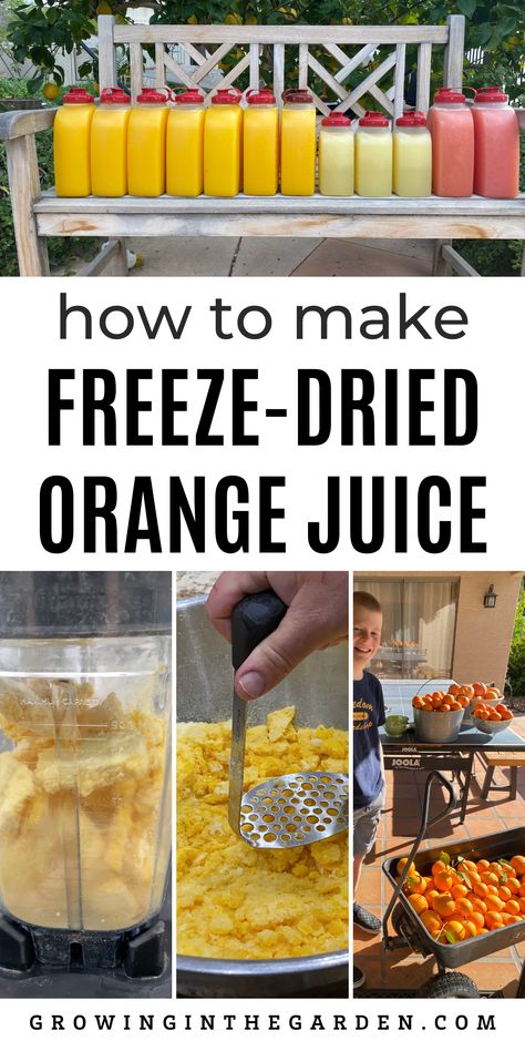 Harvestright Freeze Dryer, Freeze Dried Juice, Freeze Dried Salsa Recipe, Freeze Dried Fruit Powder, Freeze Dried Pumpkin, Freeze Dried Recipes How To Make, Freeze Dried Oranges, Freeze Dried Breakfast, Freeze Dried Food Ideas