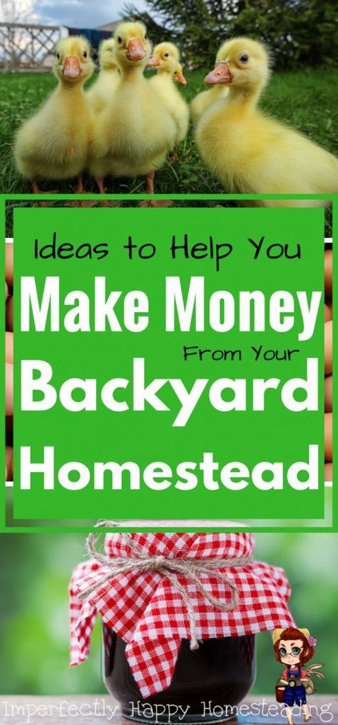 How to Make an Income From Your Backyard Homestead - Ideas to Get You Started Making Money from Homesteading Backyard Homestead, Homestead Ideas, Homesteading Diy, Homestead Farm, Homesteading Skills, Urban Homesteading, Mini Farm, Living Off The Land, Backyard Farming