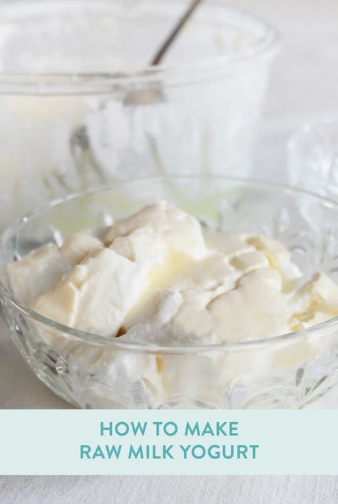 How to make raw milk yogurt - Luvele US Homemade Yogurt Recipes, Food Dehydrators, Healing Diet, Pasteurizing Milk, Yogurt Maker, Homemade Yogurt, Yogurt Recipes, Healing Food, Fermented Foods