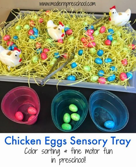 Fine motor and color sorting sensory tray with chicken eggs for toddlers and preschoolers from Modern Preschool Farm Theme Preschool, Sensory Tray, Farm Unit, Farm Preschool, Easter Preschool, Farm Activities, Sensory Boxes, Spring Preschool, Farm Theme