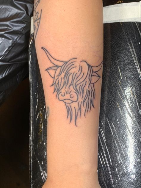 Simple Cow Tattoo Ideas, Fluffy Cow Tattoo, Highland Cow Tattoo Simple, Small Arizona Tattoo, Yak Tattoo, Cow Tattoos, Highland Cow Tattoo, West Tattoo, Tattoos 2022