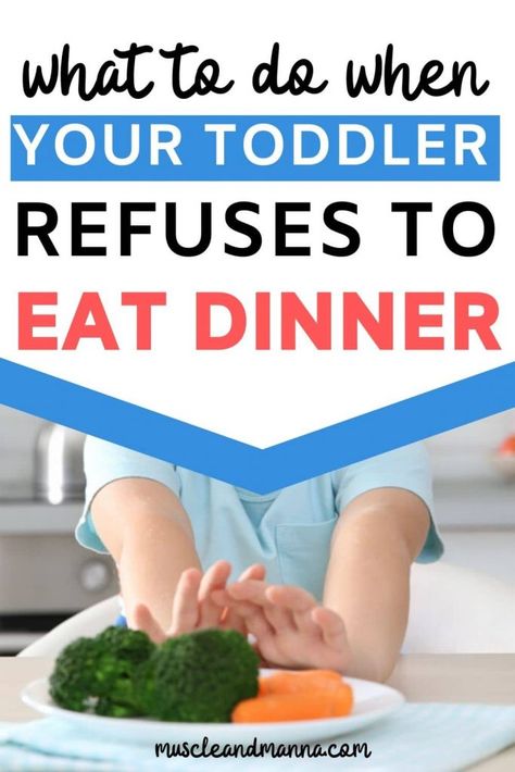 Dinners Toddlers Will Eat, Dinner Picky Eaters, Food Toddlers Will Eat, Fussy Eaters Toddlers, How To Stop Being A Picky Eater, Toddler Wont Eat, Easy Toddler Lunches, Toddler Won’t Eat, Toddler Picky Eater