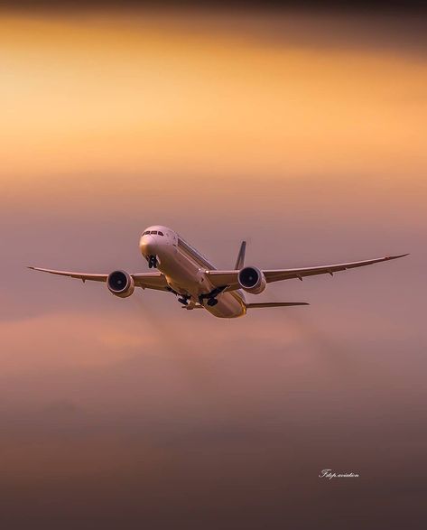 Singapore Airlines Wallpaper, Airplane Wallpaper, Pilots Aviation, Diy Plant Hanger, Singapore Airlines, Aircraft Pictures, Flower Phone Wallpaper, Sky High, Iphone Wallpapers