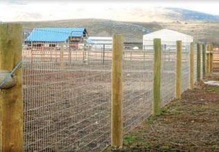 Best fencing for goats | BackYardHerds. Farm Fences, Goat Fence, Farm Fencing, Horse Pasture, Horse Fence, Goat Shelter, Goat Pen, Leopard Tortoise, Goat House