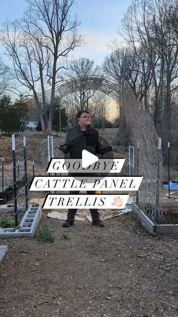 Joshua Meekins on Instagram: "Comment “TRELLIS” and I’ll send you my free Trellis Cheat Sheet to help get you started! You can also find it on my site 😁  What are your thoughts on cattle panel trellises? I haven’t heard of anyone not liking them. The biggest hurdles are price and the legisticts of getting them home.  I’ve had a friend with a truck and another with a trailer help me the three times I’ve bought them.  The 16‘ x 50“ cattle panels at my local tractor supply cost about $35. The five-foot T-posts, which are plenty tall for supporting this trellis, cost around $5 each.  Your price may vary, but for around $55 (and the fact it’ll last forever), makes it very compelling for us gardeners.   Post drivers, brackets,  zip ties, or metal wire connectors are all extra supplies you may n Cattle Panel Garden, Pig Fence, Cattle Panel Trellis, Fence Trellis, Wire Trellis, Cattle Panels, Tractor Supplies, Tractor Supply, Zip Ties