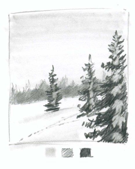 How to draw snow on trees Snow On Trees, How To Draw Snow, John Muir Laws, Landscape Pencil Drawings, Snow Trees, Drawing Scenery, Forest Drawing, Frosted Tree, Pencil Sketch Drawing