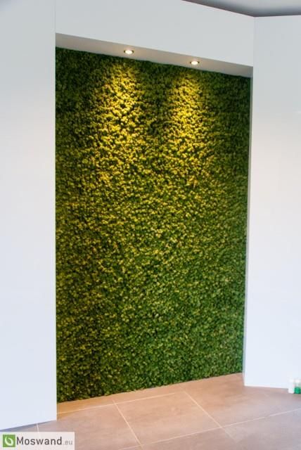 Grass Wall Office, Klein Balkon Decor, Mos Wand, Green Wall Garden, Green Wall Design, Artificial Grass Wall, Artificial Green Wall, Artificial Plant Wall, Grass Wall