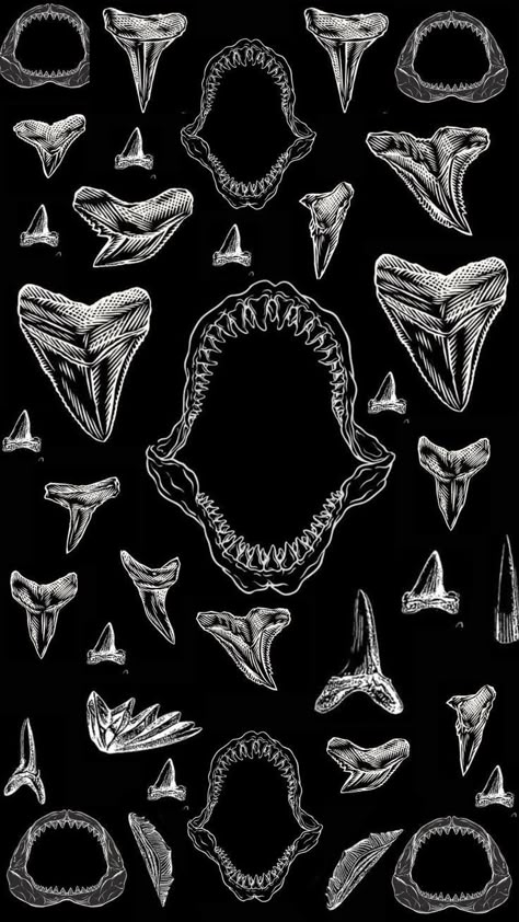 Cool Shark Wallpaper, Shark Wallpapers Iphone, Marine Science Aesthetic Wallpaper, Black And White Shark Wallpaper, Cute Sharks Wallpaper, Hammerhead Shark Wallpaper Aesthetic, Shark Apple Watch Wallpaper, Sharks Wallpaper Iphone, Shark Wallpaper Aesthetic Iphone