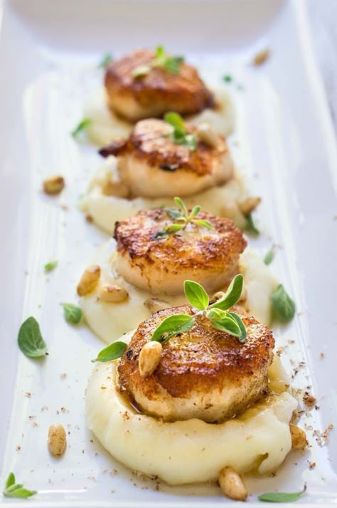 Parsnip Puree, Seared Scallops, Fine Dining Recipes, Scallop Recipes, Scallops Seared, Idee Pasto Sano, Parsnips, Fish Dishes, Food Presentation