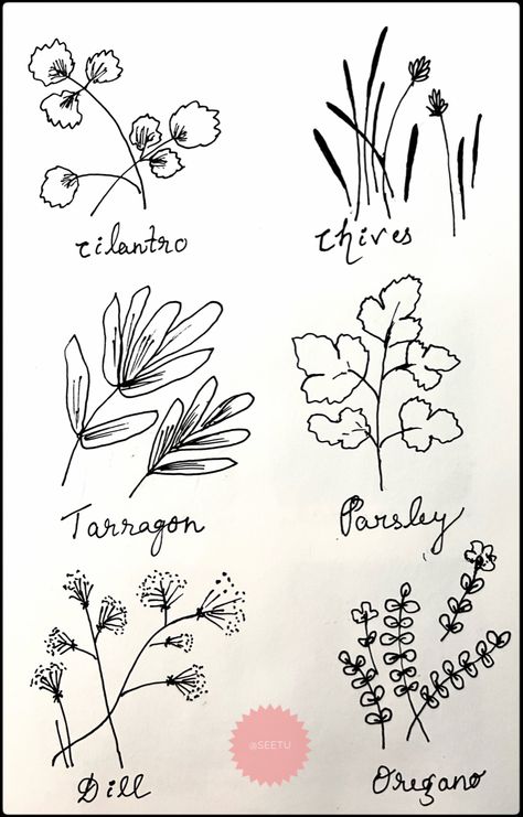 Herb Drawings Simple, Herb Doodles, Witchy Doodles, Scrapbook Tricks, 2025 Art, Herbs Illustration, Plant Doodle, Herb Boxes, Ink Doodles