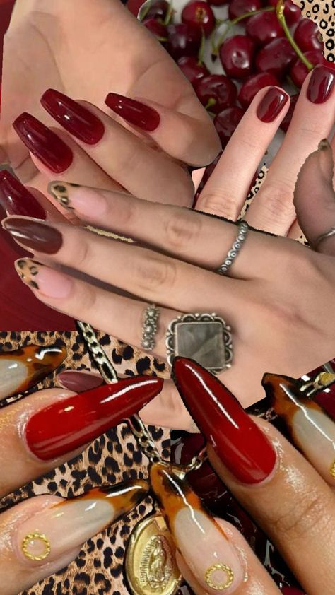 #nails #nailsinspo #inspo #animalprint Ahs Nails Ideas, Ahs Nails, Red Cheetah Nails, Acrylic Nails Red, Nail Board, Cheetah Nails, Nails Red, Nails Ideas, Trendy Nails