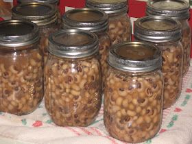 Canned Black Eyed Peas Recipe, Canning Peas, Blackeyed Pea Recipes, Homestead Canning, Canning Green Tomatoes, Canning Beans, Black Eye Peas, Diy Canning, Blackeyed Peas