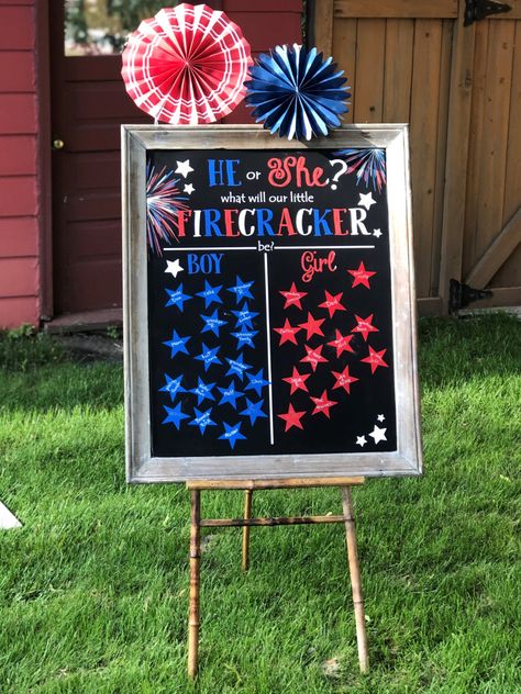 Firework Gender Reveal Party, 4th Of July Gender Reveal, 20 Week Ultrasound, Gender Of Baby, Firework Gender Reveal, Baby Gender Reveal Party Decorations, Gender Reveal Unique, Patriotic Baby, Gender Reveal Party Theme